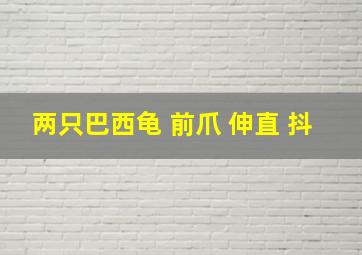 两只巴西龟 前爪 伸直 抖